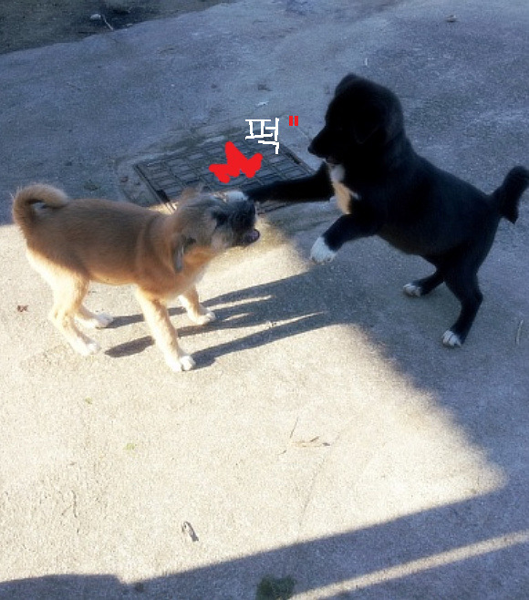 철수와영희 이미지