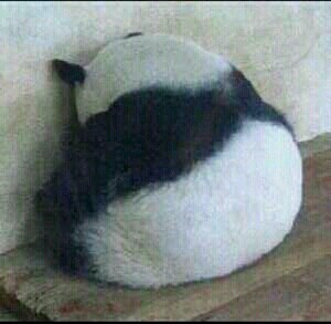 여자들이 반할 수 밖에 없다는 뒷모습 ㄷㄷㄷ.JPG | 인스티즈